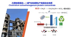 重大突破！中國(guó)農(nóng)科院首次實(shí)現(xiàn)從一氧化碳到蛋白質(zhì)的合成，并形成萬(wàn)噸級(jí)工業(yè)產(chǎn)能